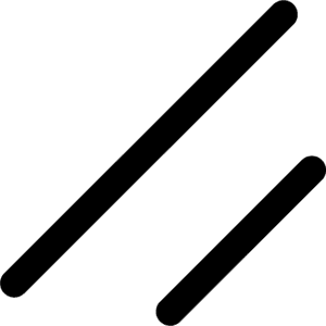 shadcn icon